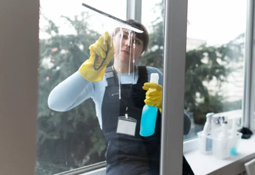 Nettoyage de vitres intérieures et extérieures à Treignat